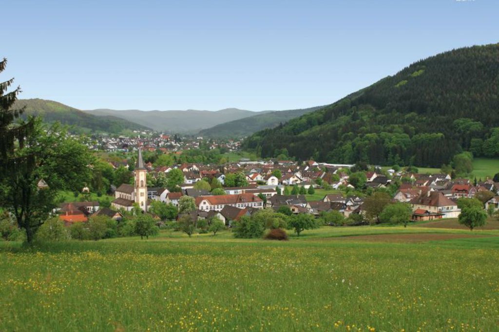 Blick auf den 875 Jahre alten Lahrer Stadtteil Reichenbach.