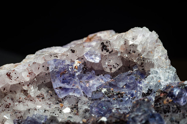 Am Ende hat sich die Suche gelohnt. | Foto: Foto: Andreas Lacher