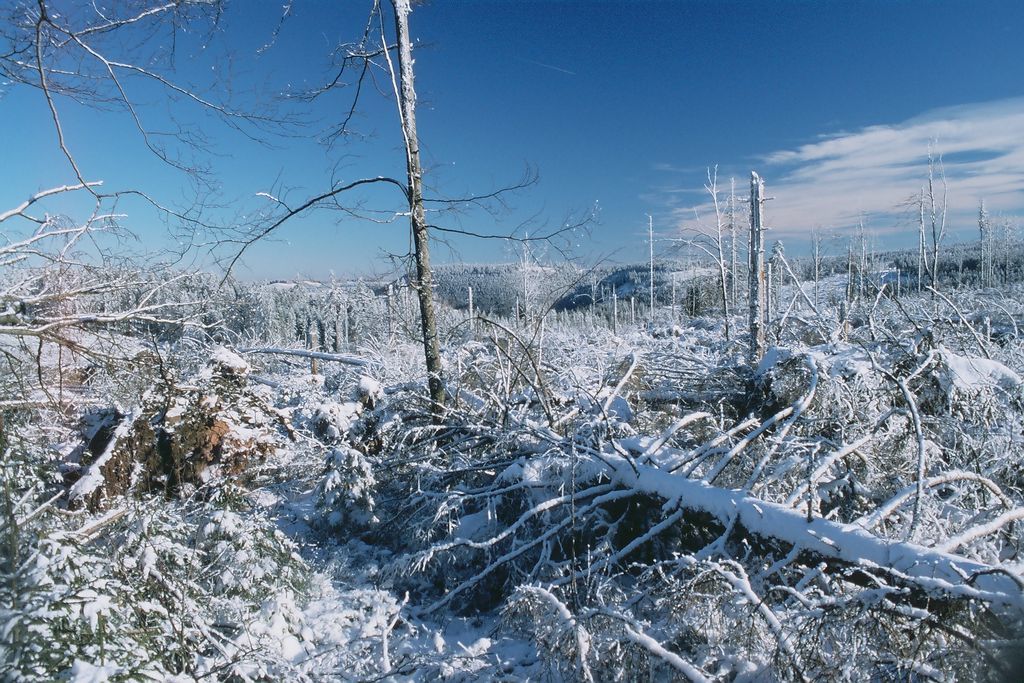 Einer der gesperrten Erlebnispfade im Nationalpark Schwarzwald ist der Lotharpfad. Aber auch der Weg an den Allerheiligen Wasserfällen vorbei bleibt geschlossen.