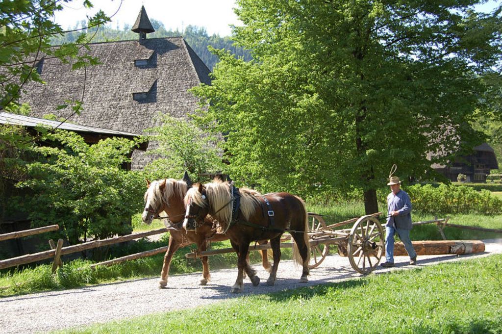 Ganz im Zeichen des Jahresthemas „Wald“ steht der Eröffnungstag des Schwarzwälder Freilichtmuseums Vogtsbauernhof.