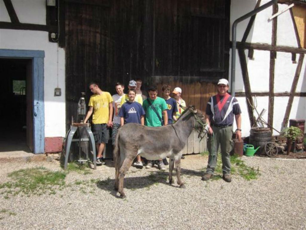 Nach der Renovierung soll der Schollenhof Menschen mit und ohne Behinderung Beschäftigungsmöglichkeiten bieten, hier Montessori-Schüler beim Arbeitseinsatz.