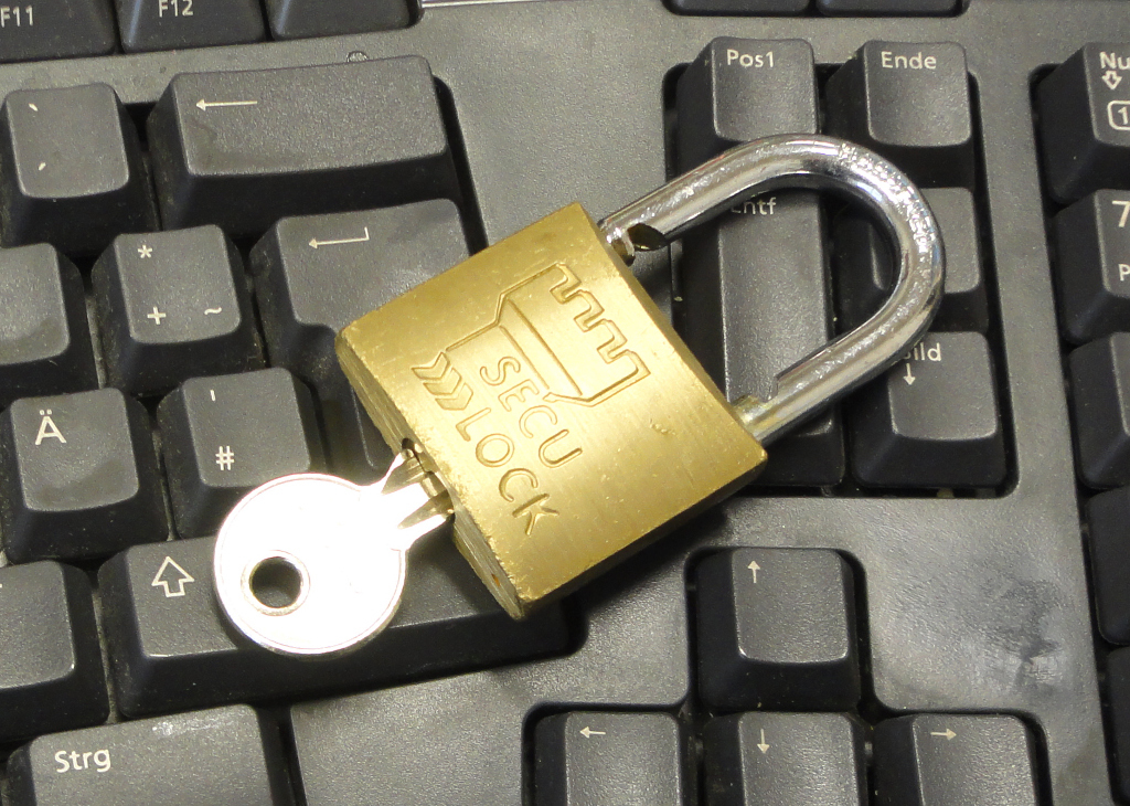 Der Schutz der Daten vor Angriffen birgt für Privathaushalte und Unternehmen große Gefahren.