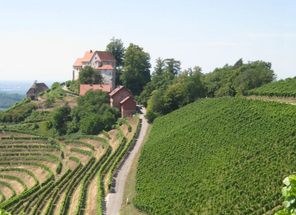 Schloss Staufenberg ist heute im Besitz der Markgrafen von Baden. Es wurde im 11. Jahrhundert von den Zähringern erbaut, seit dem