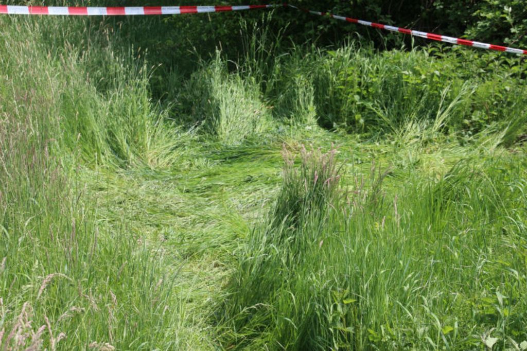 Wiese neben einem Feldweg: Hier wurde die Frau leblos entdeckt.