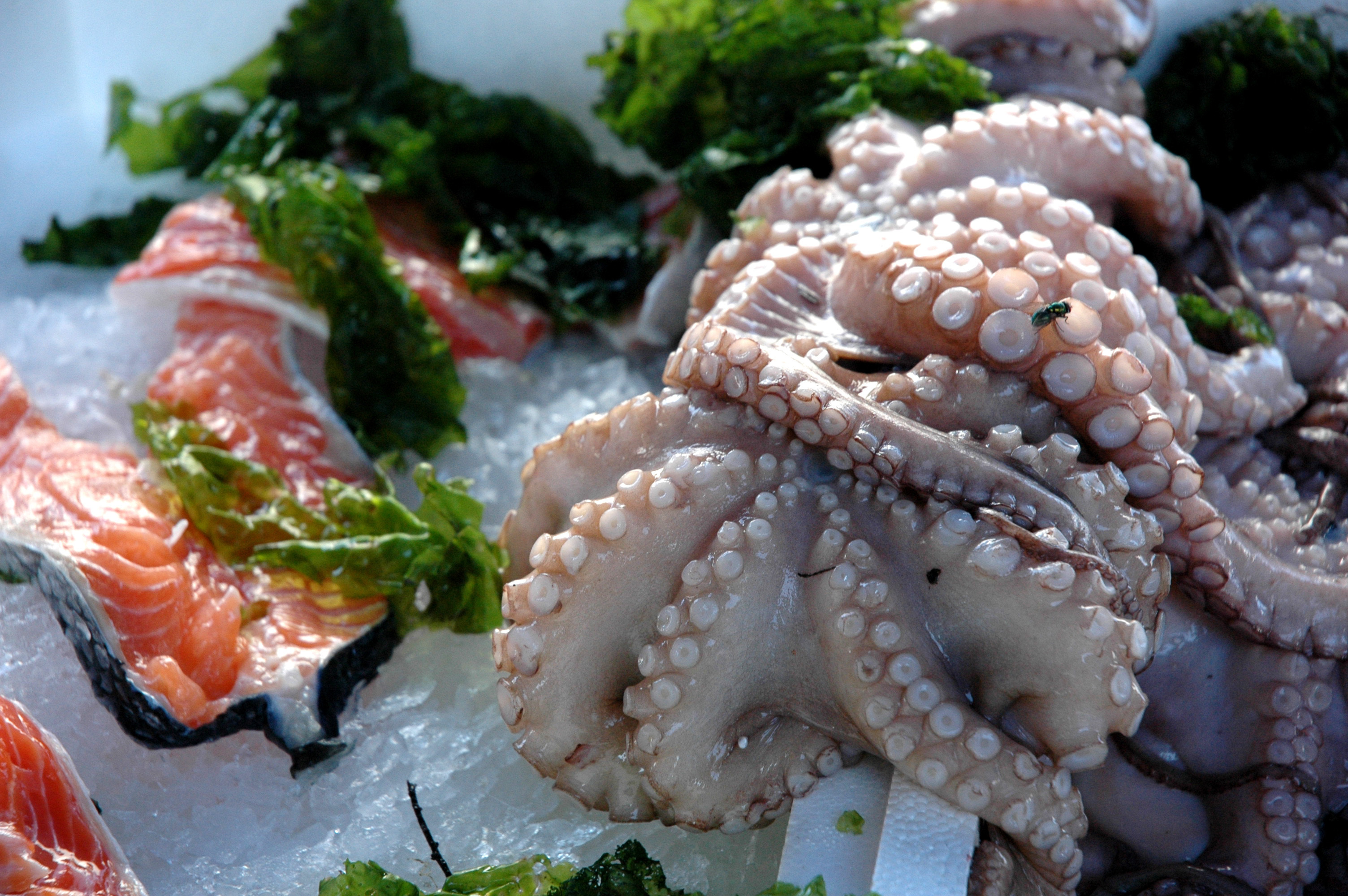 Fisch und Meeresfrüchte eignen sich besonders gut, um schonend im Vakuum gegart zu werden.