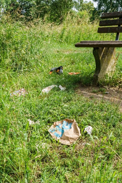 Müll bleibt oft im Rheinvorland in Kehl liegen. | Foto: Sven Kimmig