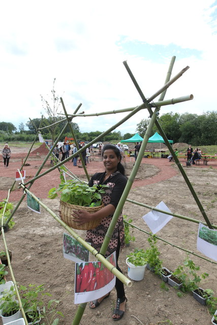 Sugirtha Navarathinam steuert Nutzpflanzen, wie Bittergurken, aus Sri Lanka bei, die gekocht gegessen werden. | Foto: Daniel Hengst