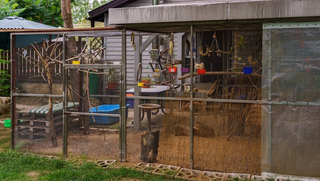 5 auf 3 Meter Platz für die Vögel die sich in der Voliere besser fühlen als in einem kleinen Käfig | Foto: Sven Kimmig