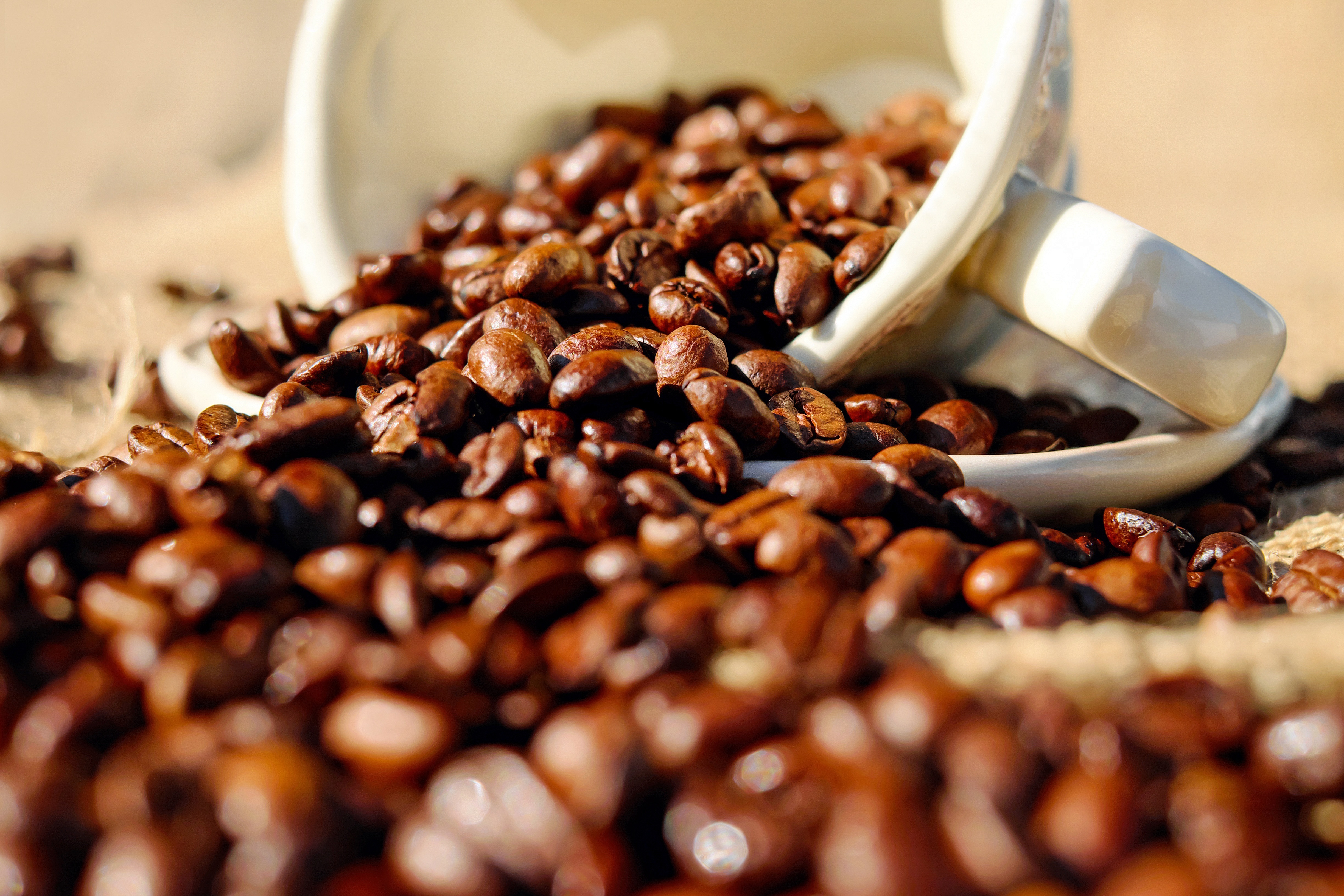 Ob mit der Hand aufgebrüht oder in klassischer Barrista-Manier zubereitet, Kaffee ist in Deutschland ein beliebtes Getränk.