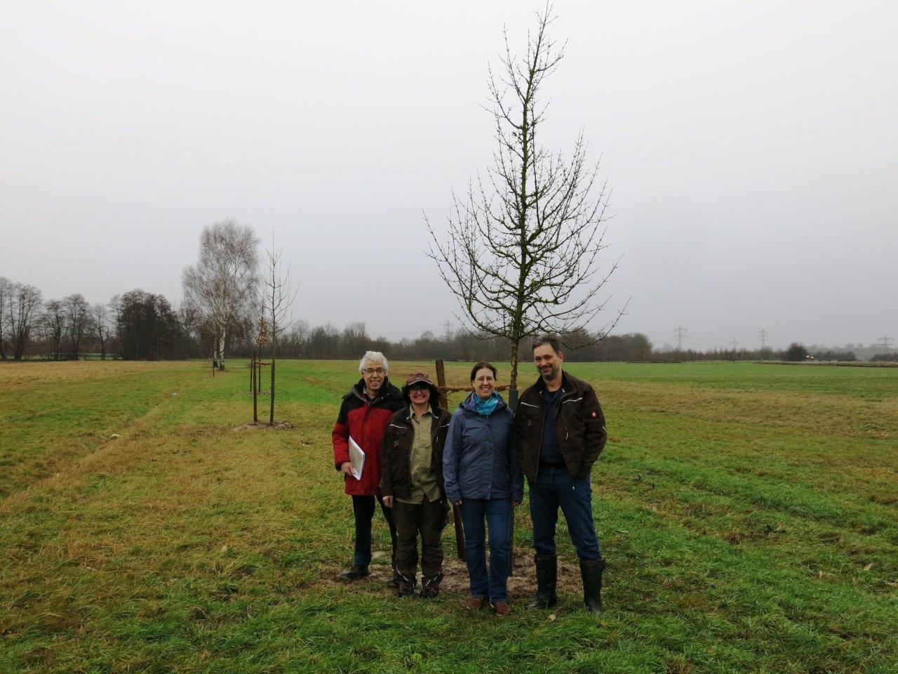 Dr. Stephan Engel (Umweltbeauftragter der Stadt Achern), Corinna Köninger (Jagdpächterin Sasbachried und Mitarbeiterin bei NaturLandStiftung Kehl), Claudia Dorfschmid (Brillen Fielmann Achern) und Marco Lasch (NaturLandStiftung Kehl) freuen sich über die neu gepflanzten Bäume.