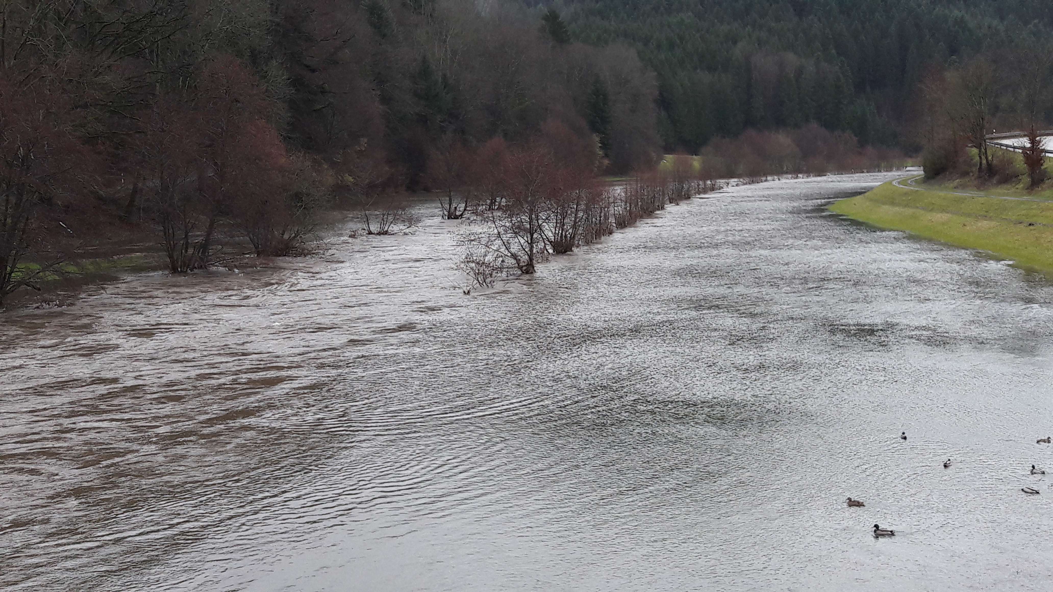 Erhöhte Pegel durch Regen und Schneeschmelze: Hochwasserschutzmaßnahmen