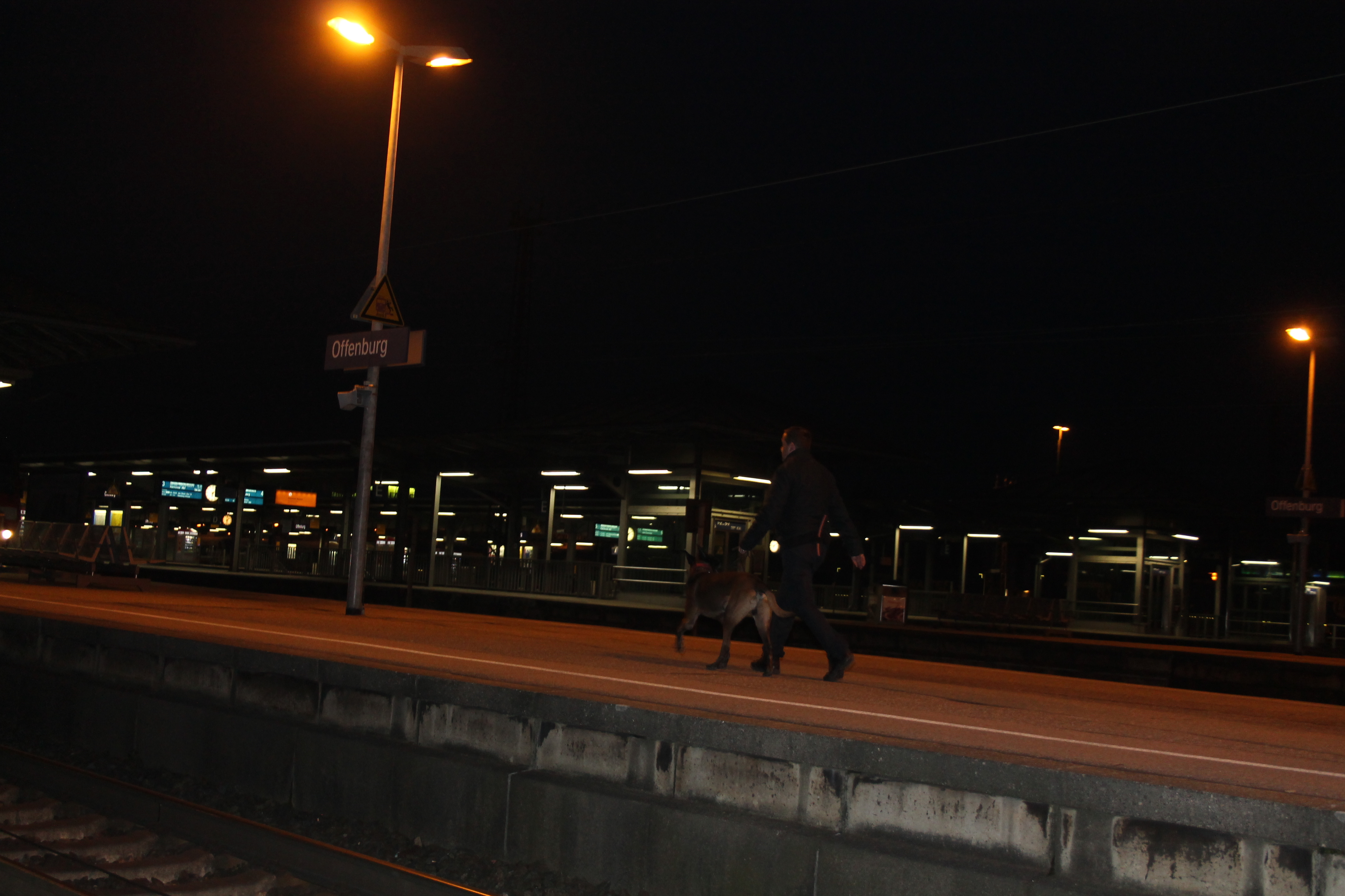 Mit Spürhunden wurde der Bahnhof abgesucht.