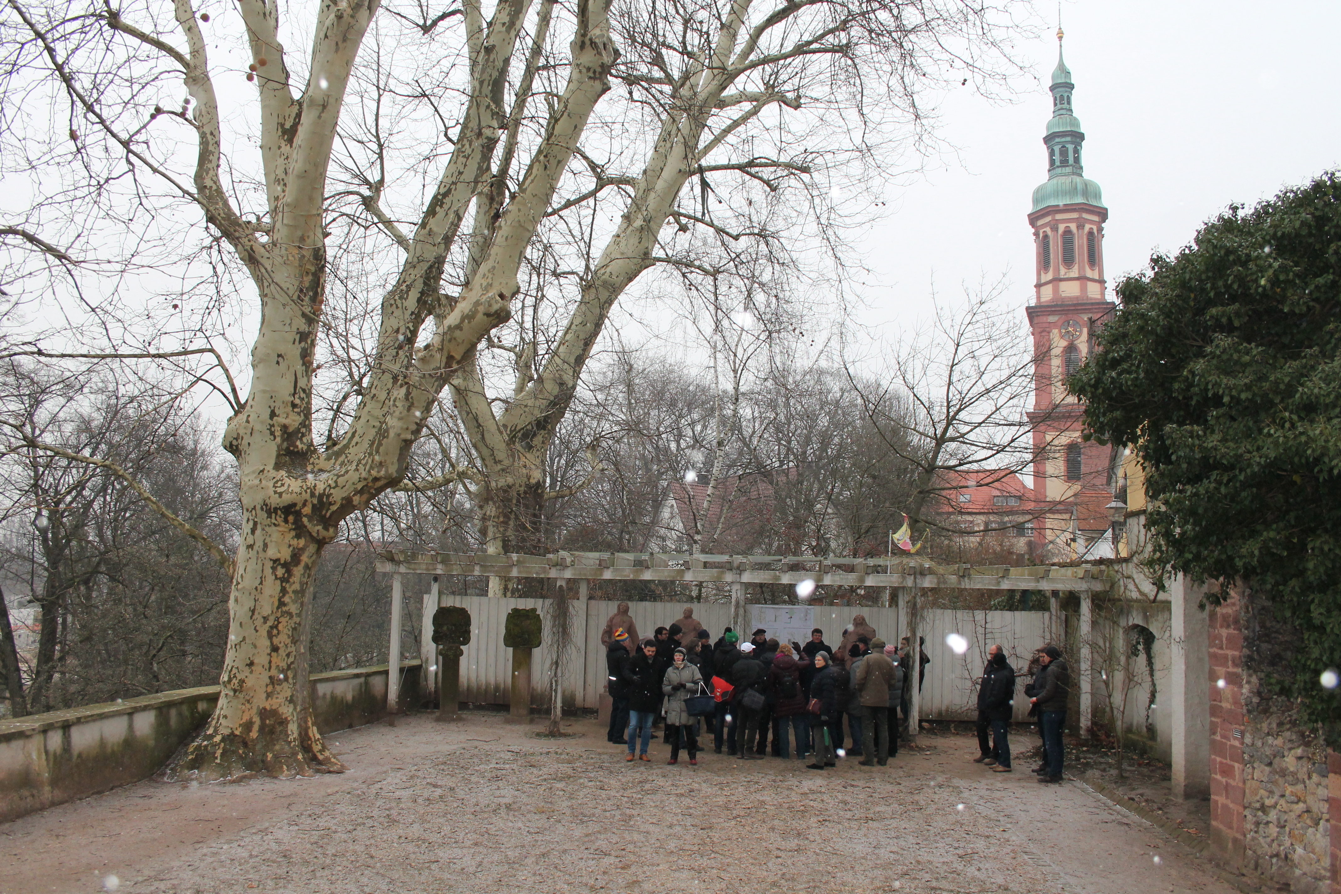 Stadt und Gutachter erläutern im Vinzentiusgarten die Situation um die Platanen und die Stadtmauer.