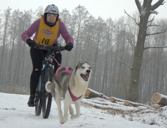 Sabrina Cantu und Shakira sind schnell auf der Strecke unterwegs. | Foto: Rolf Fey