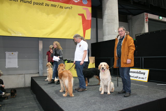 Welcher Hund passt zu mir? Antworten finden sich bei den Rassevorstellungen.  | Foto: gro