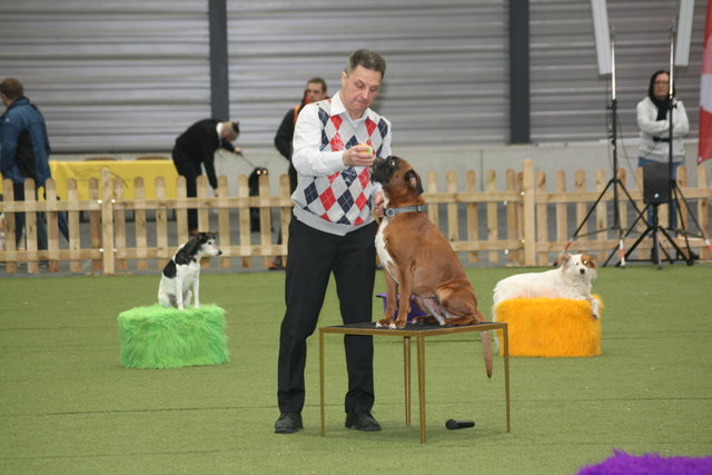 Hunde-Comedy im Ehrenring | Foto: gro