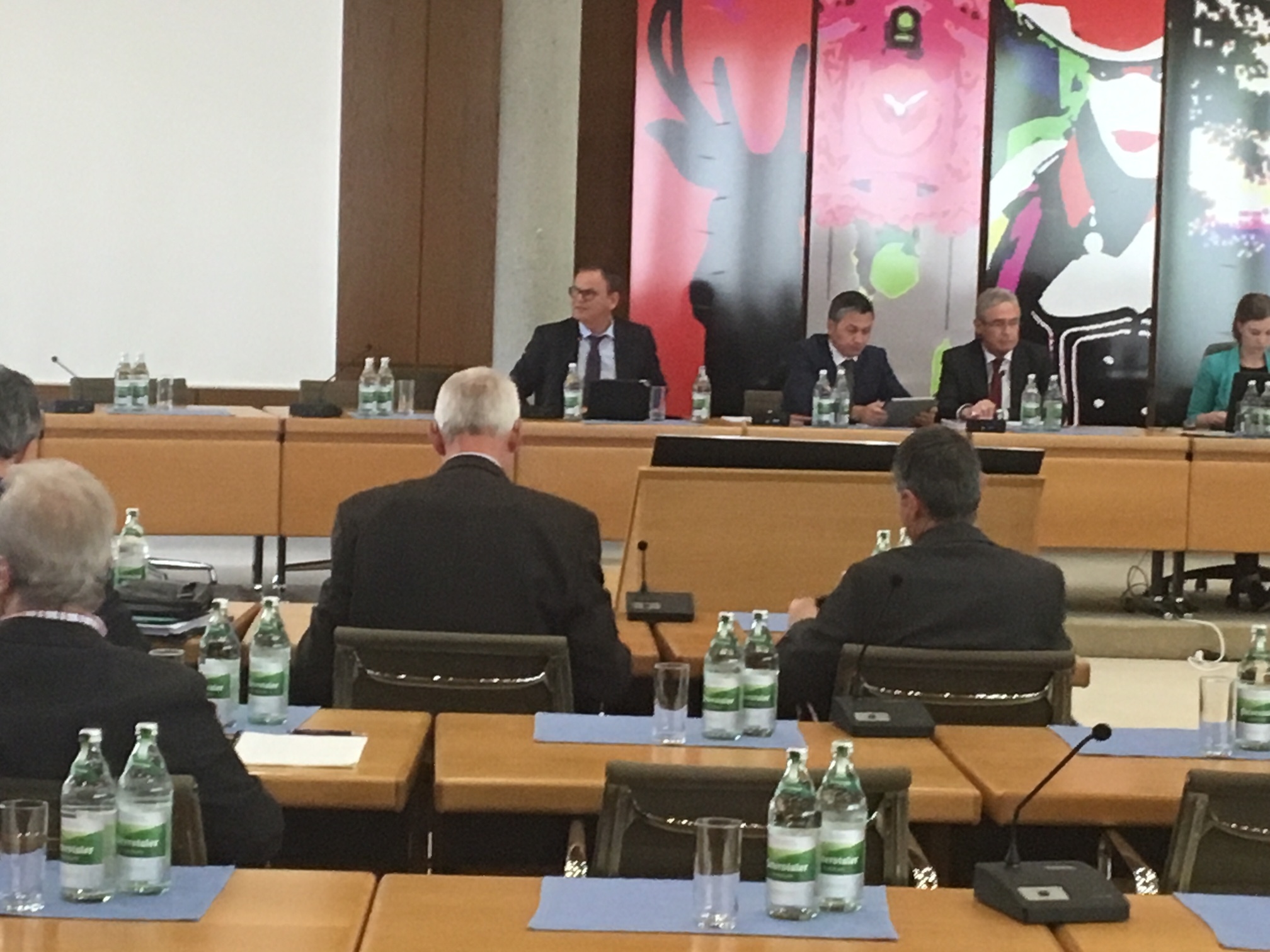 Landrat Frank Scherer (hinten links) und Christian Keller, Geschäftsführer des Ortenau Klinikums (daneben), stellten sich gestern den Positionen der Fraktionen.