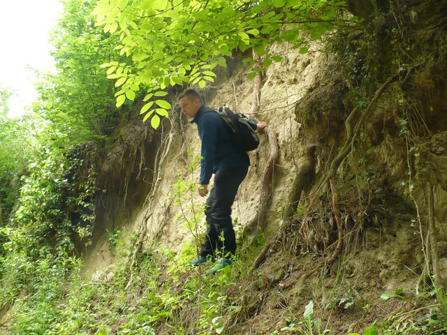 Foto: Landratsamt Ortenaukreis