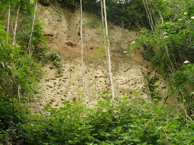 Foto: Landratsamt Ortenaukreis
