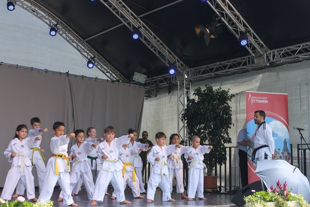 So klein und schon so schlagkräftig: der Nachwuchs im Taekwondo | Foto: Stadt Ettenheim