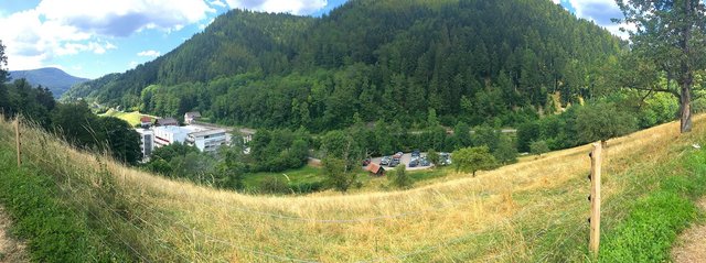 Die Landschaft im Lierbachtal soll offen gehalten werden. | Foto: Etol