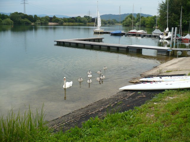 Anlegestelle - nicht nur für Boote | Foto: djä