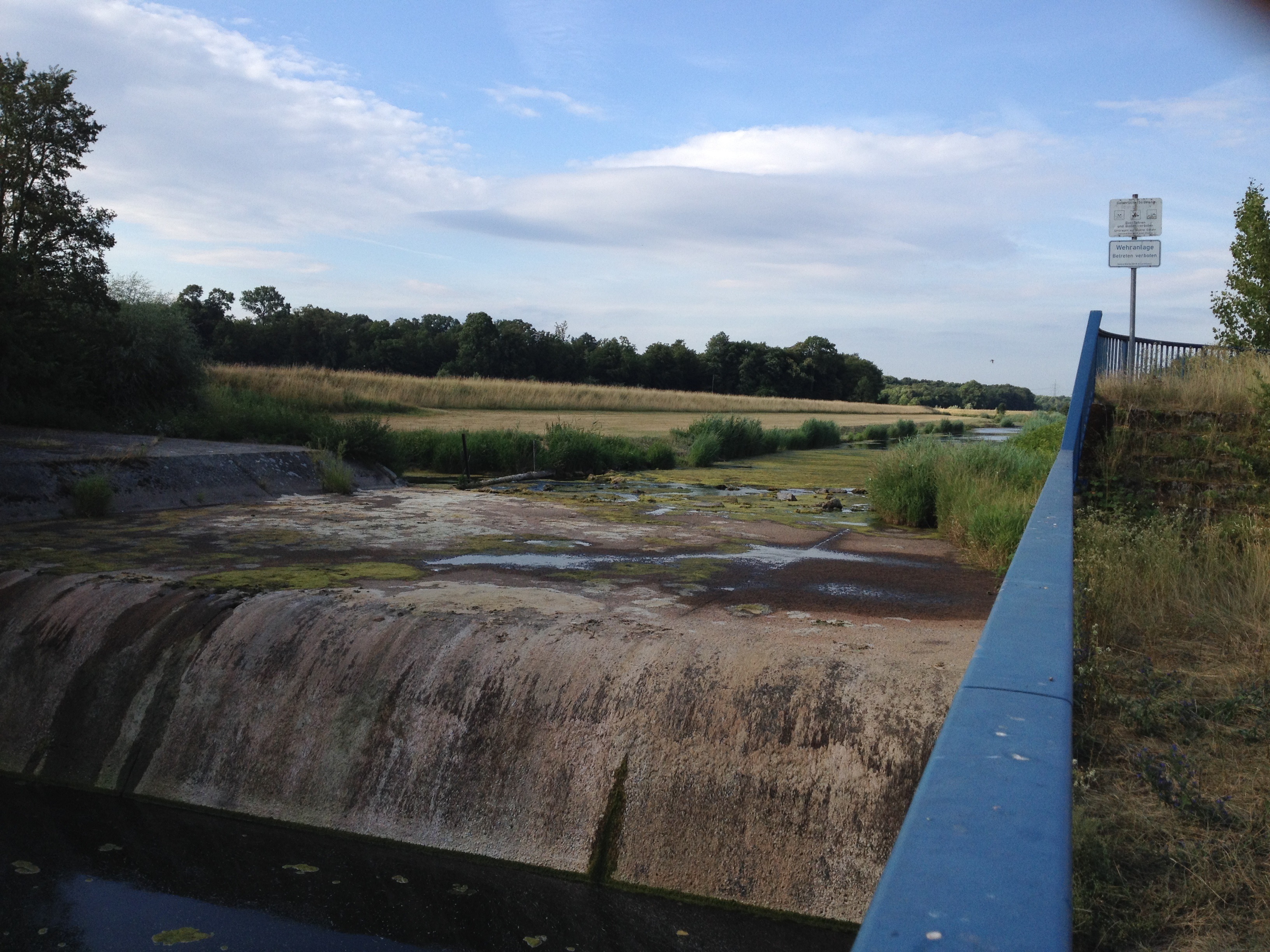 Das Absturzbauwerk am Renchflutkanal in Memprechtshofen. Normalerweise ein richtiger Wasserfall, aktuell ist keine Wasserbewegung mit Strömung erkennbar, deutliche Auswirkungen der anhaltenden Trockenheit. Im Hintergrund das total verkrautete Flussbett des Flutkanals und der Ausgang des Fischaufstieges (hinten links), der gerade noch so mit etwas Wasser gespeist wird.