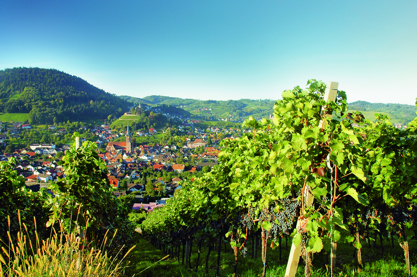 Der Blick auf Kappelrodeck: Landschaft und touristische Angebote sind für Urlauber besonders interessant.