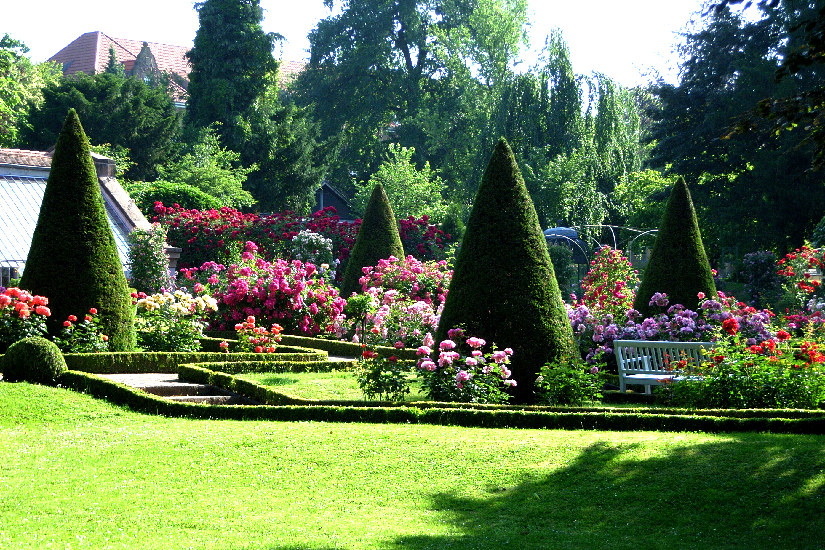 Der Lahrer Stadtpark ist weit über die Stadtgrenzen hinaus für seinen wunderschönen Rosengarten bekannt.