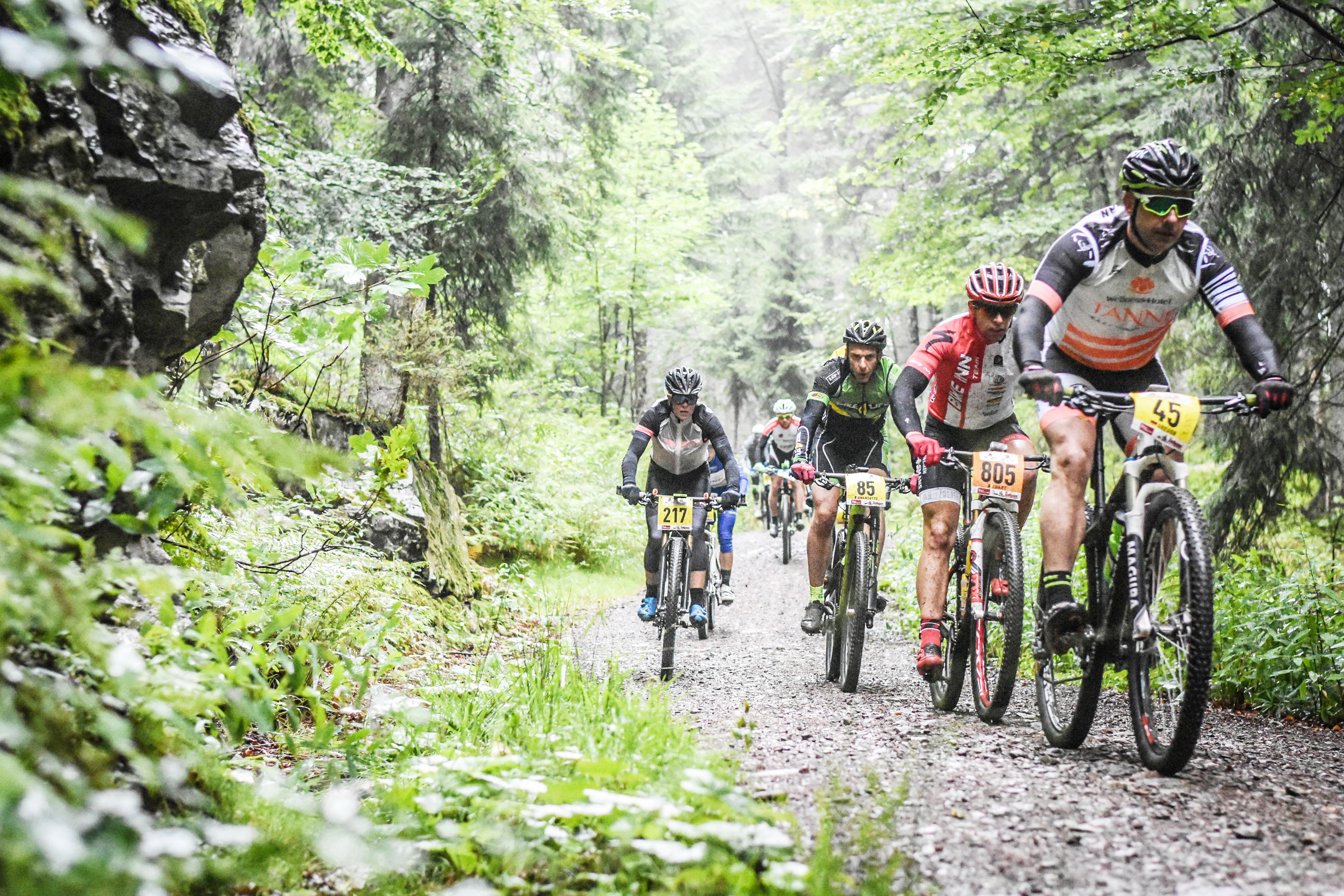 Anspruchsvoll: Hobby- und Profi-Mountainbiker beim letztjährigen Rothaus-Giro-Hochschwarzwald