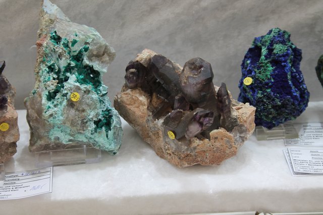 Die Vielfalt der Farben und Formen ist unglaublich. | Foto: Glaser