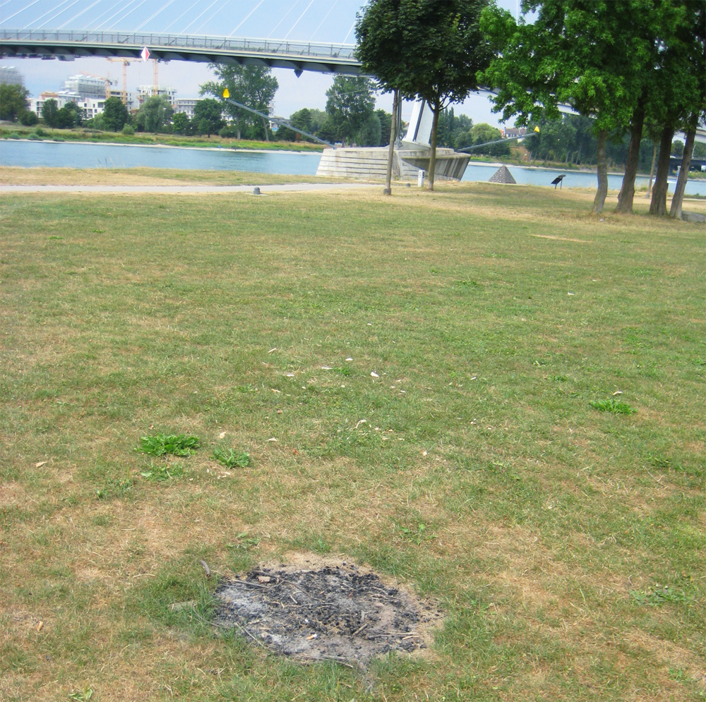 Immer wieder missachten Menschen das Grillverbot im Rheinvorland und hinterlassen diese verbrannten Stellen im Gras.