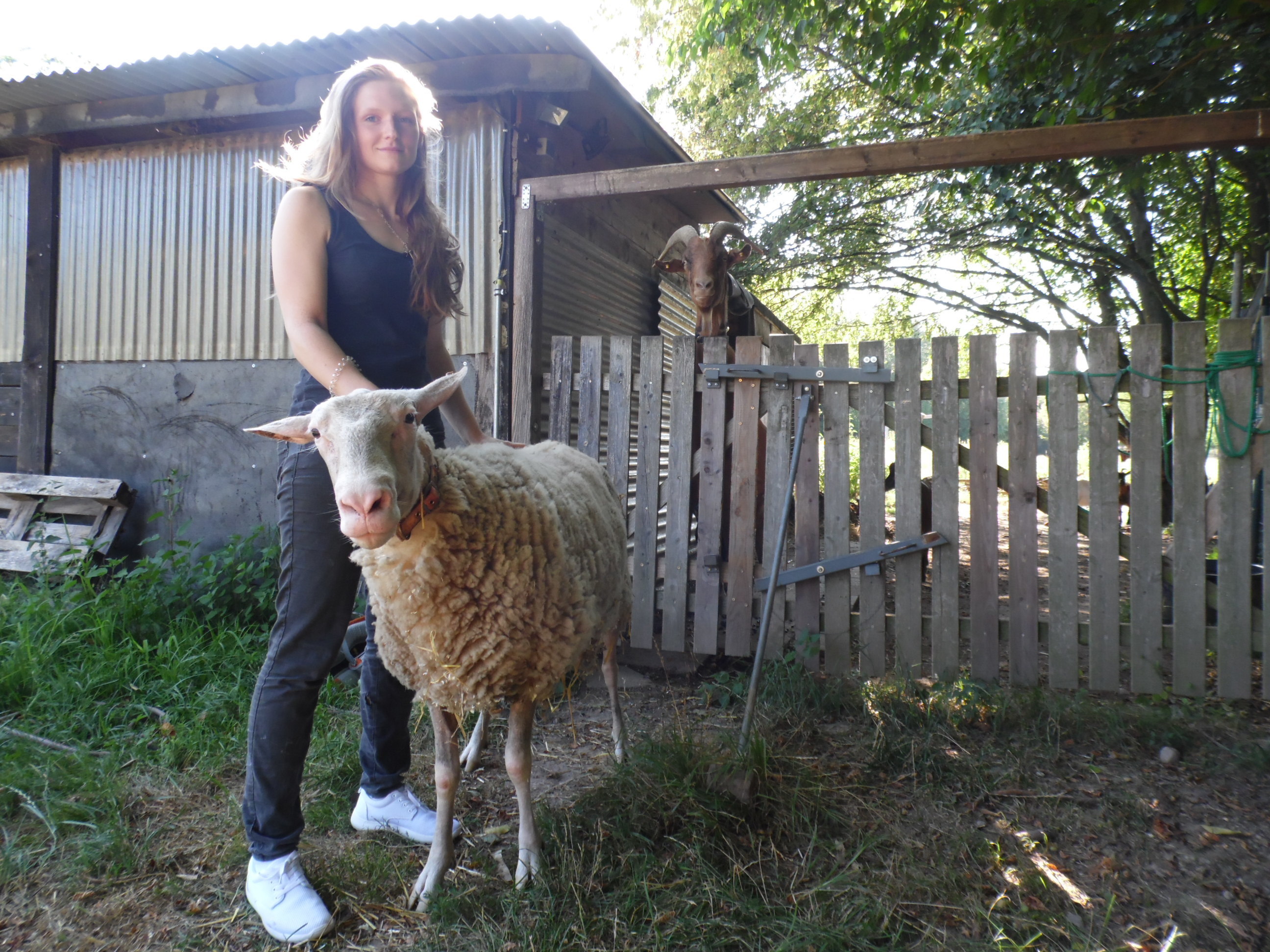 Tierheimleiterin Miriam Zenger mit Schafbock Freddy