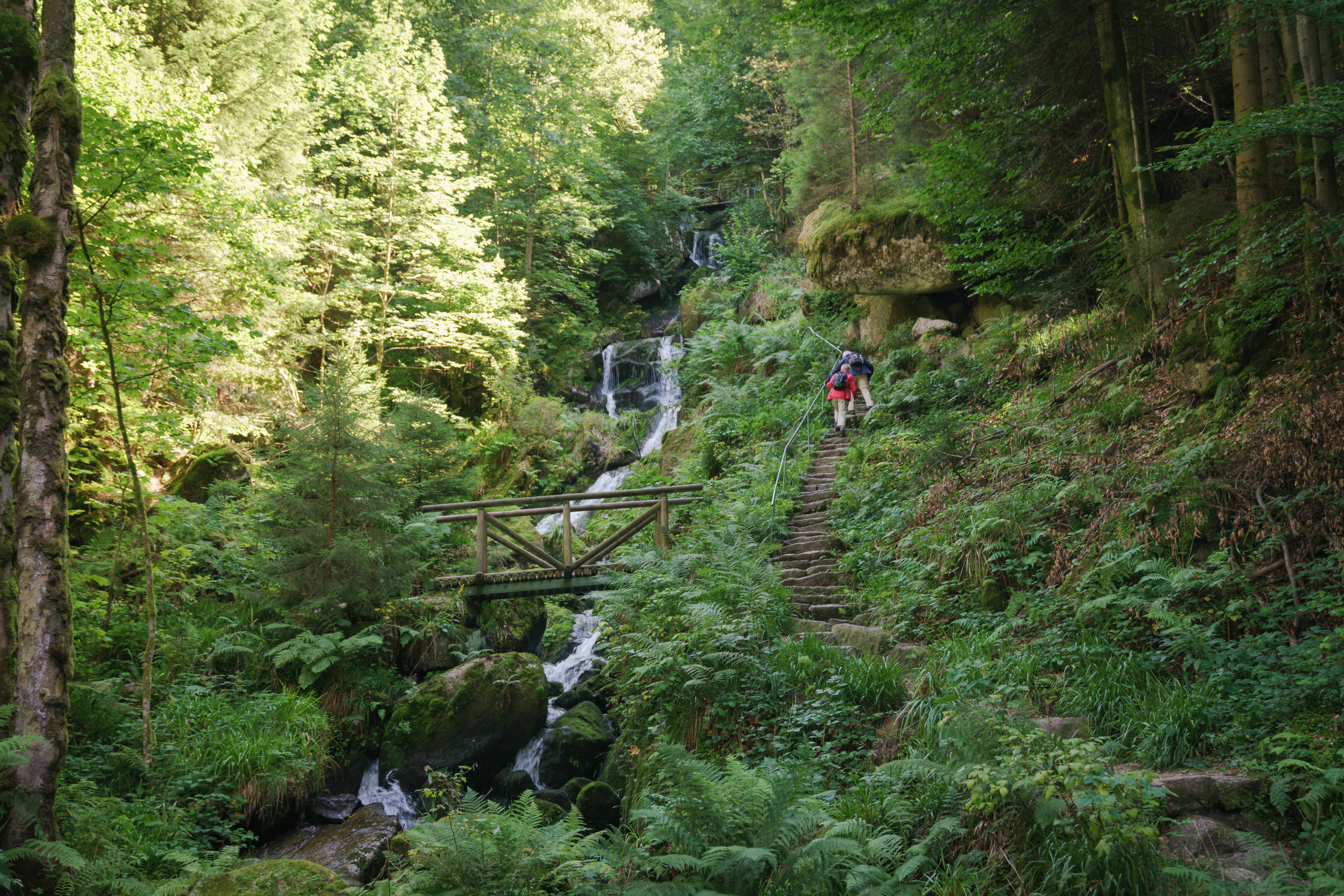 Wildromantisch geht es durch die Gertelbach-Wasserfälle.
