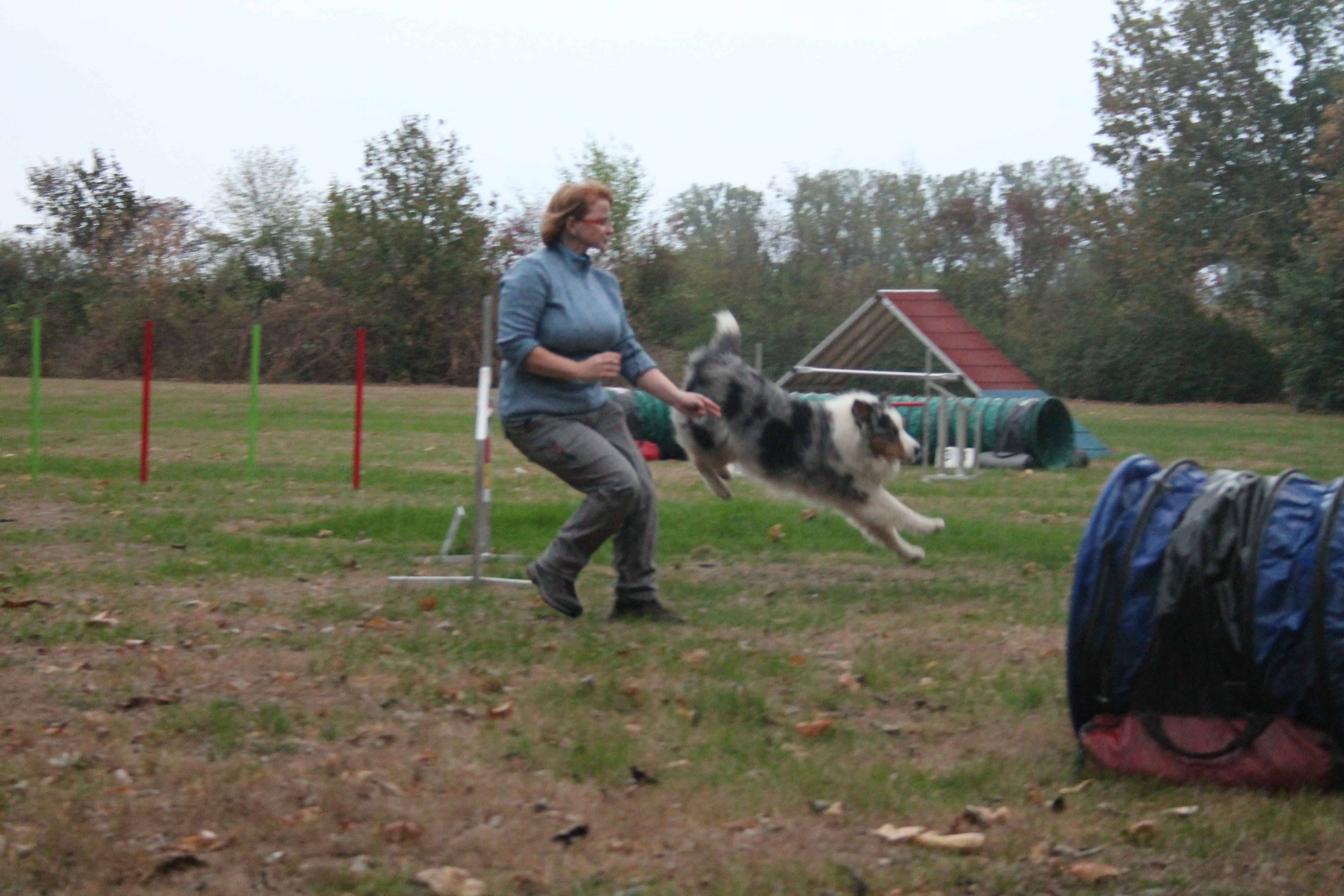 Sandra Zyssett ist mit ihrem Hund auf dem Agility-Parcours beim Training.