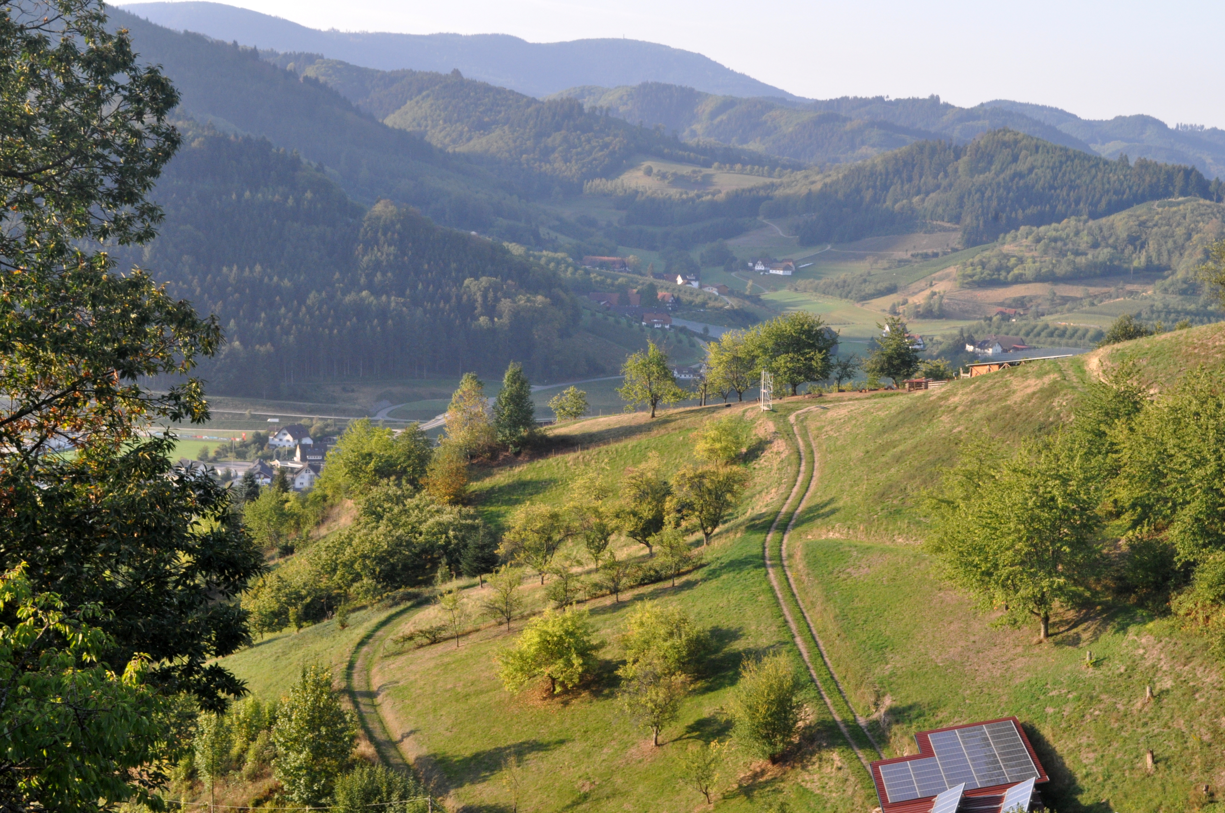 Immer wieder eröffnen sich spektakuläre Ausblicke, wenn man auf dem Lautenbacher Hexensteig unterwegs ist.
