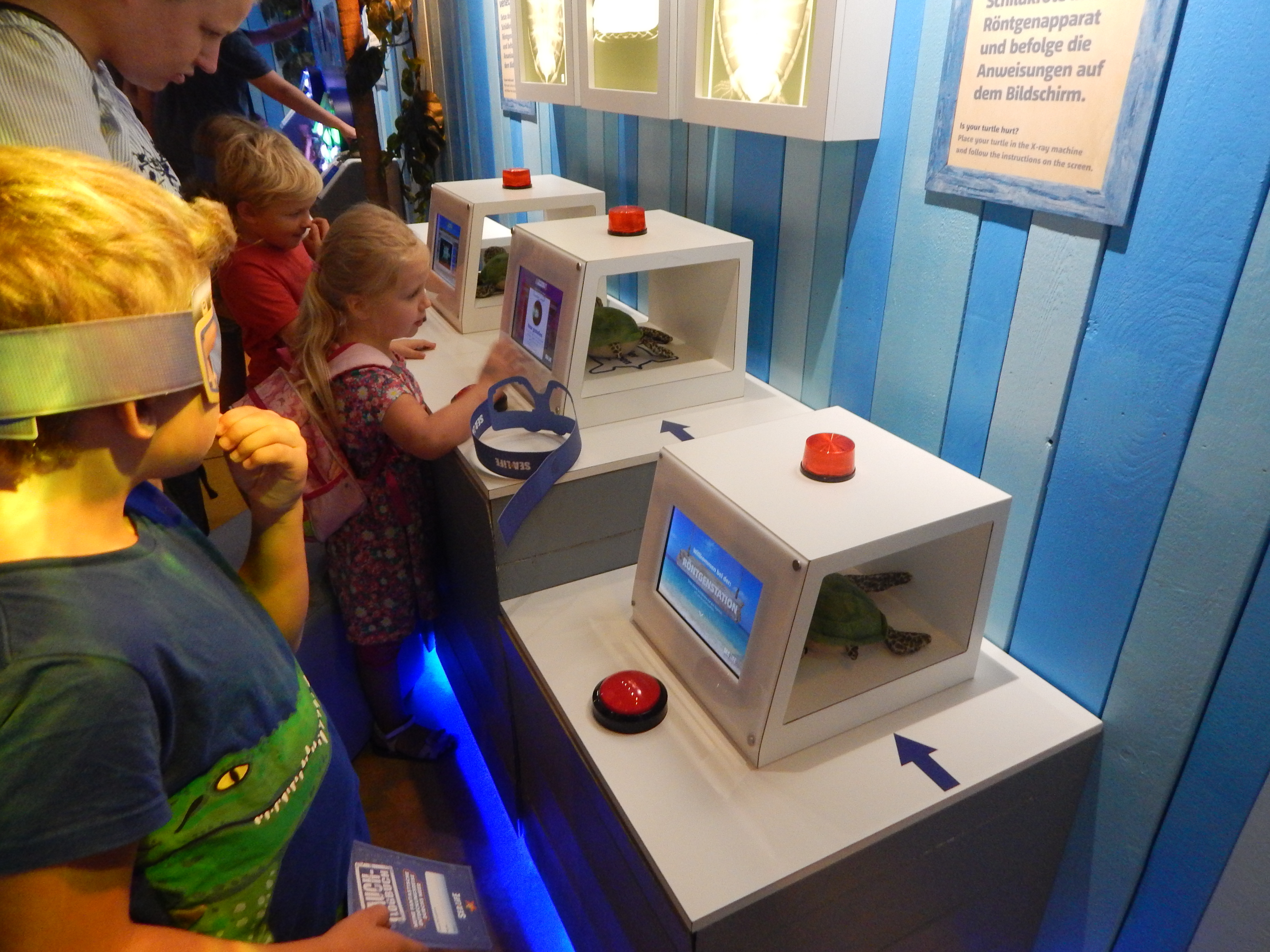 Der Besuch im Sea Life ist nicht nur ein Spaß für Kinder.