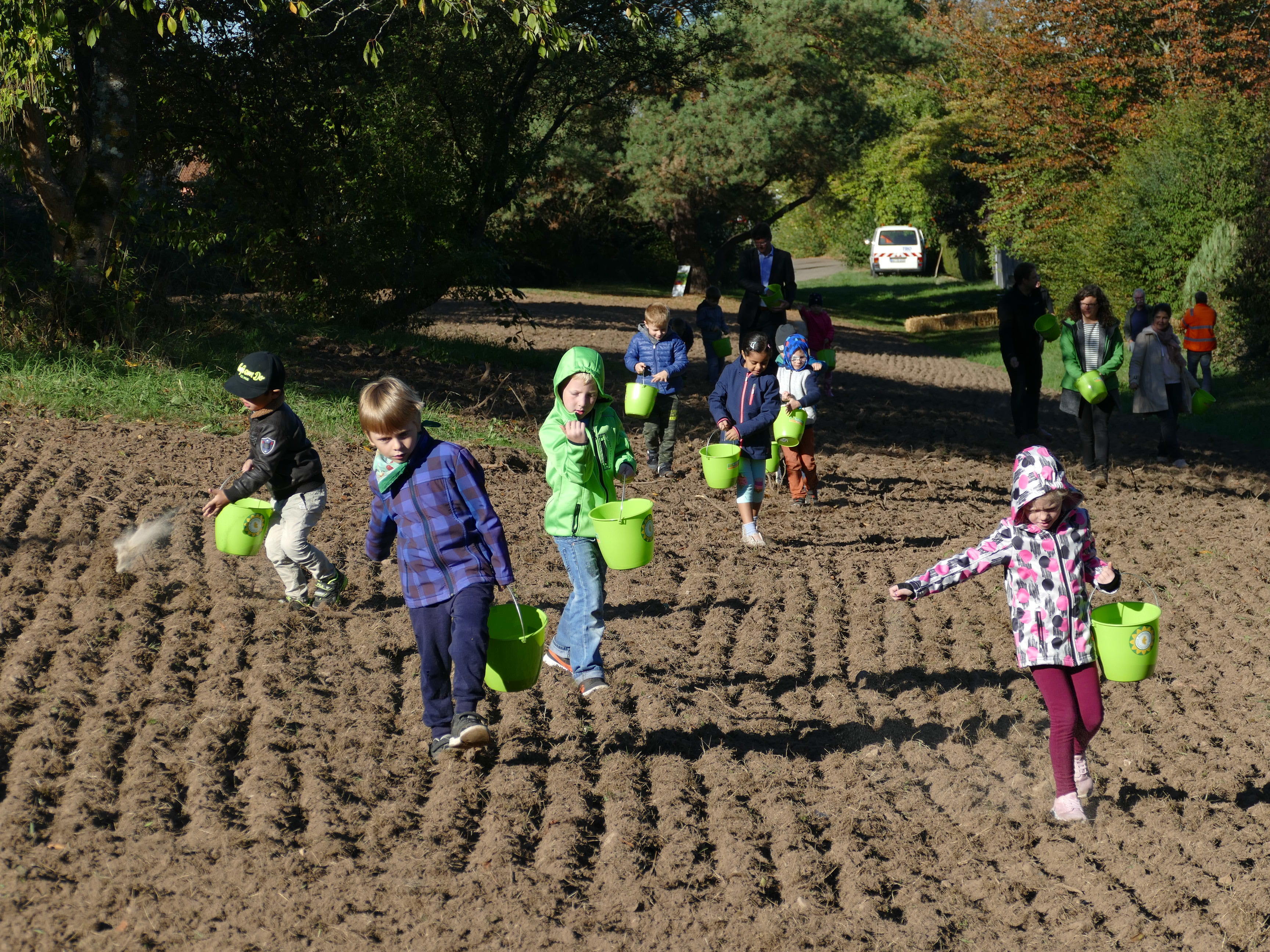 Mit Eifer bringen die Kinder aus Hildboltsweier das Saatgut für die Blumenwiese aus.