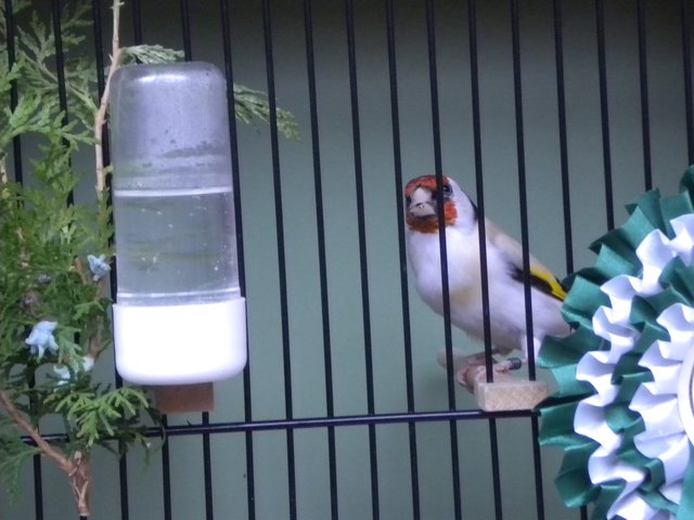 Foto: Familie Stürmlinger