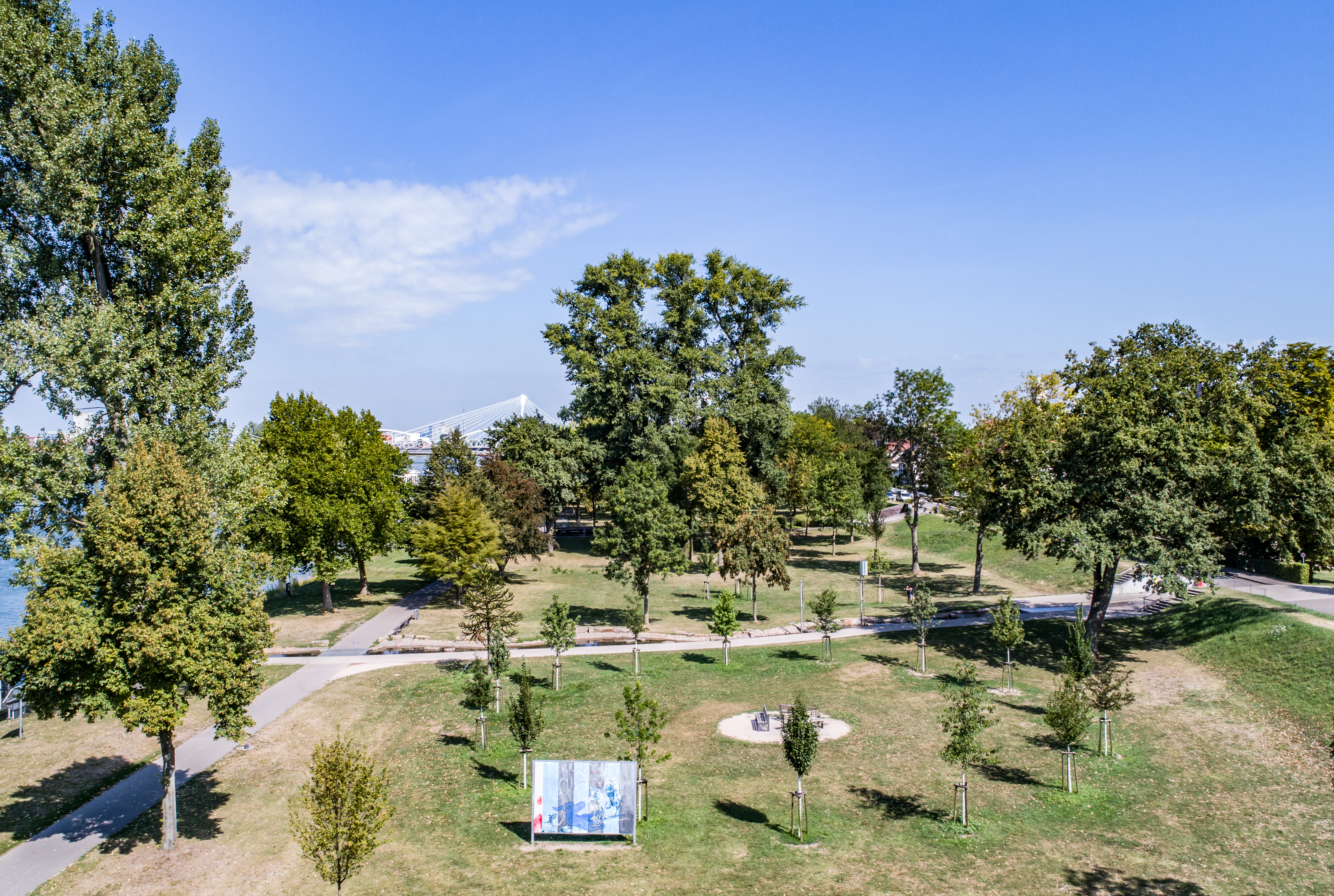 Der Klimahain mit Sitzgelegenheiten in der Mitte und Blick auf den Rhein wird wachsen.