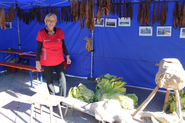 Foto: Glaser
