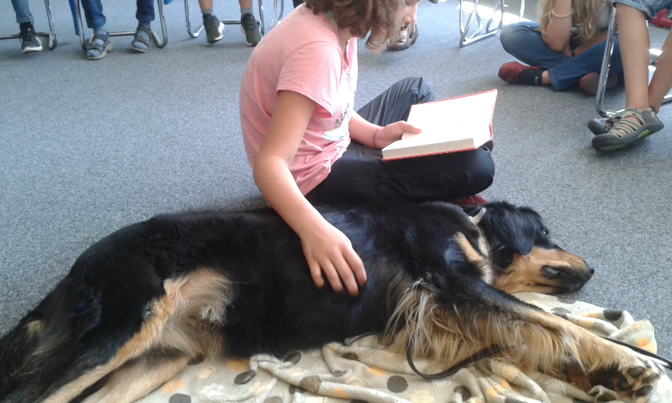 Lesehund Indi ist völlig entspannt und hört ihrer immer sicherer werdenden Vorleserin geduldig zu.