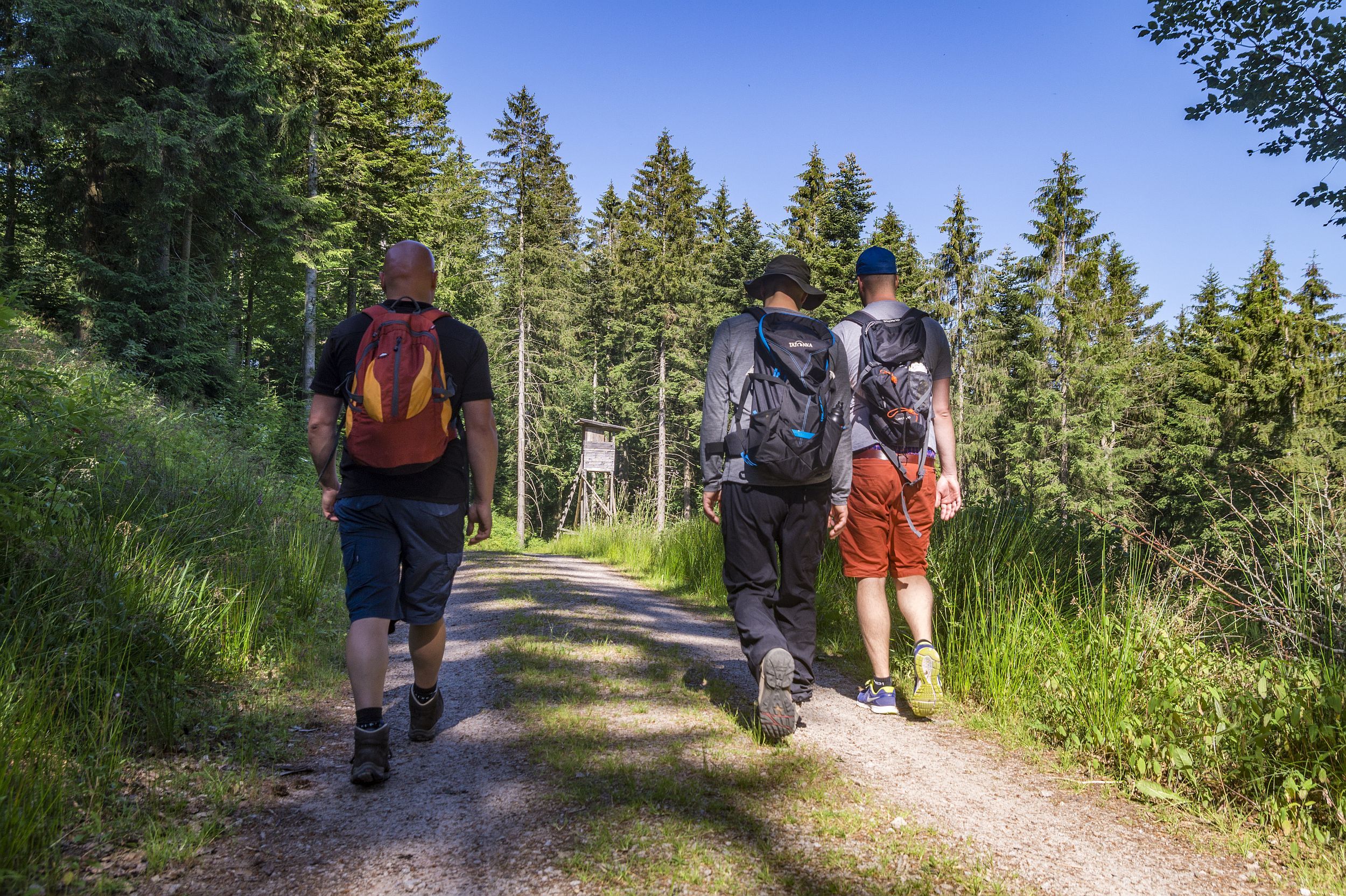 Wanderer im Nationalpark