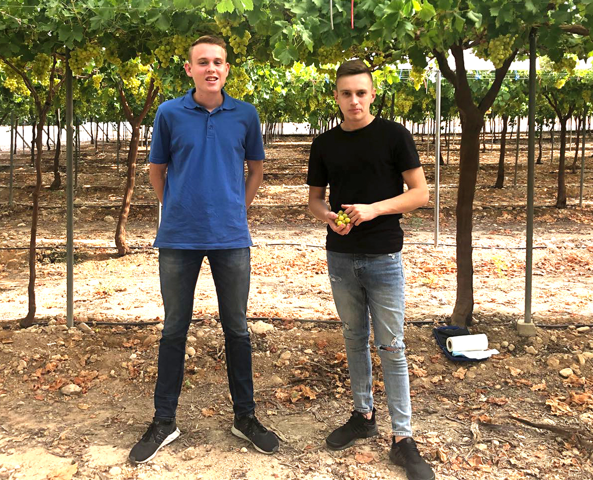 Jannik Steinhart (links) und Jeremy Hammerschmidt auf der Plantage von Iberiana Frucht