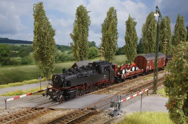 Es lebe die Dampflokzeit! | Foto: Frank Zarges