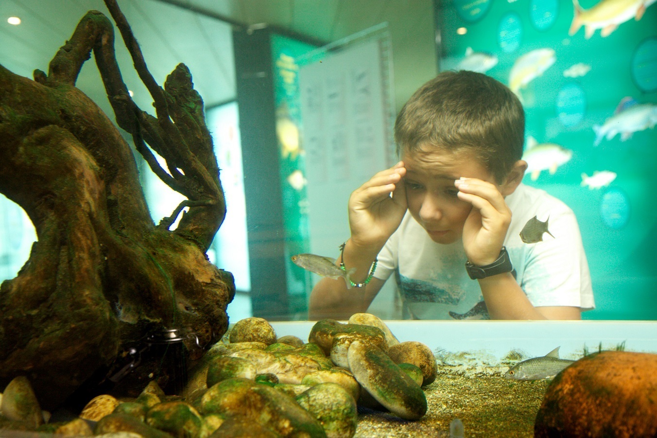 Für Kinder wird die Welt Unterwasser erlebbar. Foto: G. Weiss/Passage309