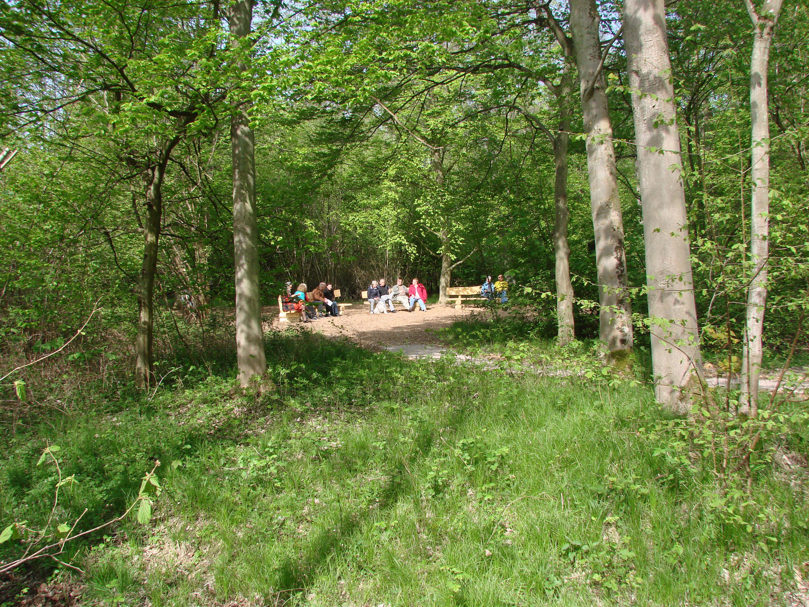Der Friedwald in Memmprechtshofen