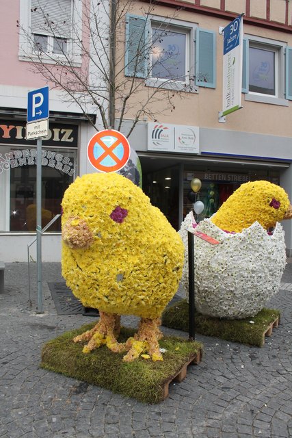 Hoffentlich bekommen die beiden Vögelchen keinen Strafzettel. Sie stehen im absoluten Halteverbot und haben noch nicht einmal einen Parkschein. | Foto: Glaser