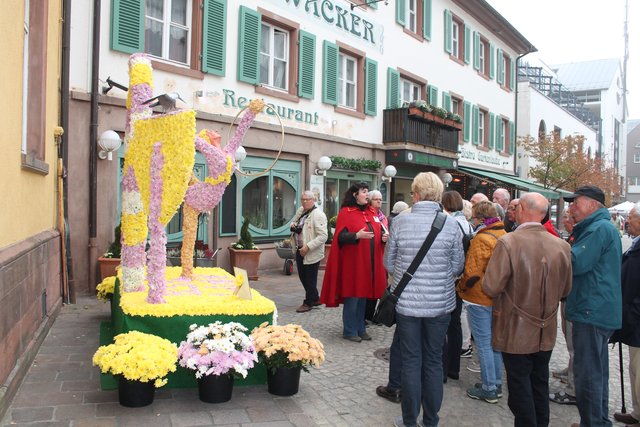 Auch mit Führungen können Besucher Lahr und die Blumenpracht entdecken.  | Foto: Glaser