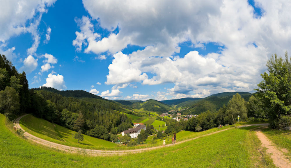 Wie sehr der Wald unter der Trockenheit gelitten hat, kann der Besucher gar nicht sehen.